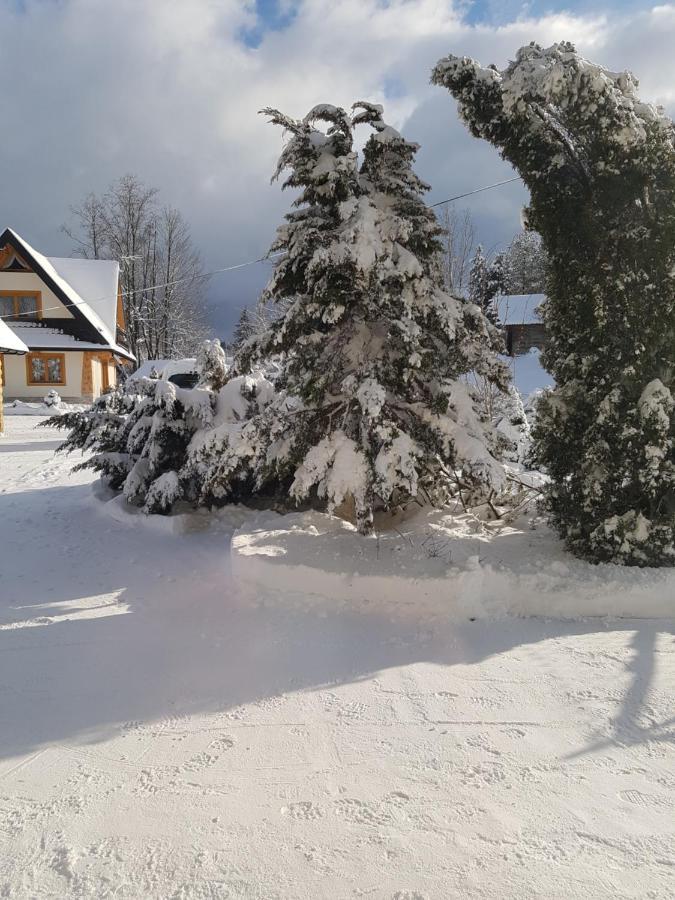 Tatrzanskie Domki Poronin Luaran gambar